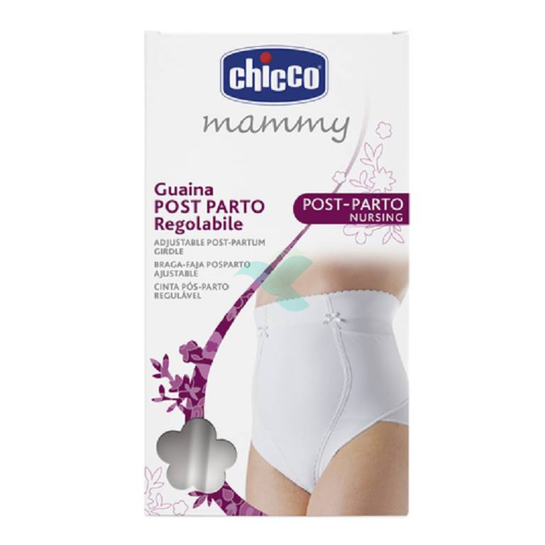 Chicco Mammadonna Fascia Post Part Large