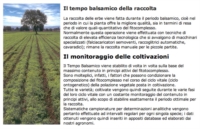 Aboca Integratori Linea Difese Immunitarie Echinacea Concentrato 50 Opercoli